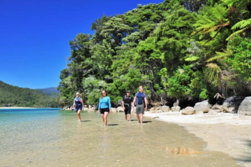 Abel Tasman National Park Group Walking